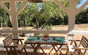 Petit coin de détente en Provence
